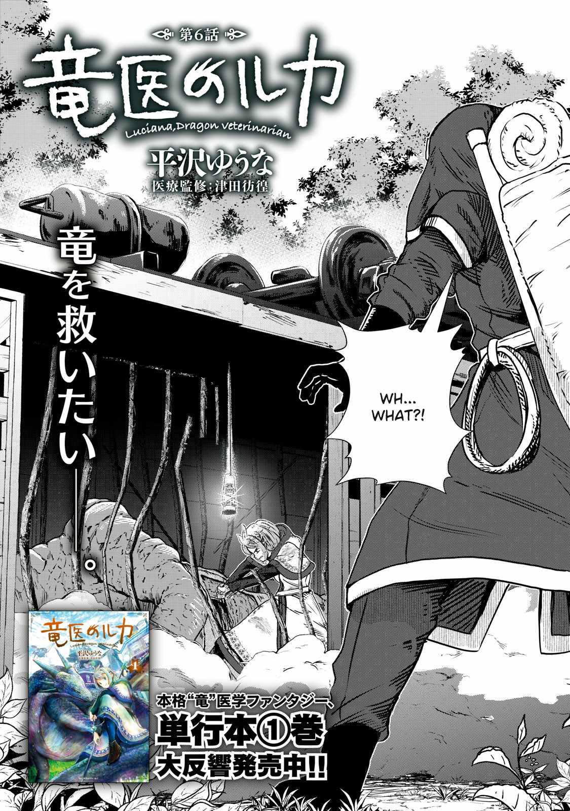 Luca, Dragon Vet Chapter 6 - Page 2